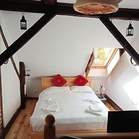 Residence Goelsch 161 Sanpetru Bagian luar foto