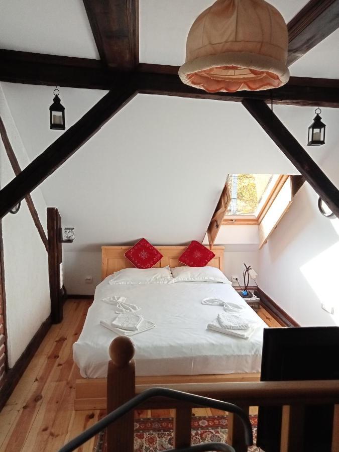 Residence Goelsch 161 Sanpetru Bagian luar foto