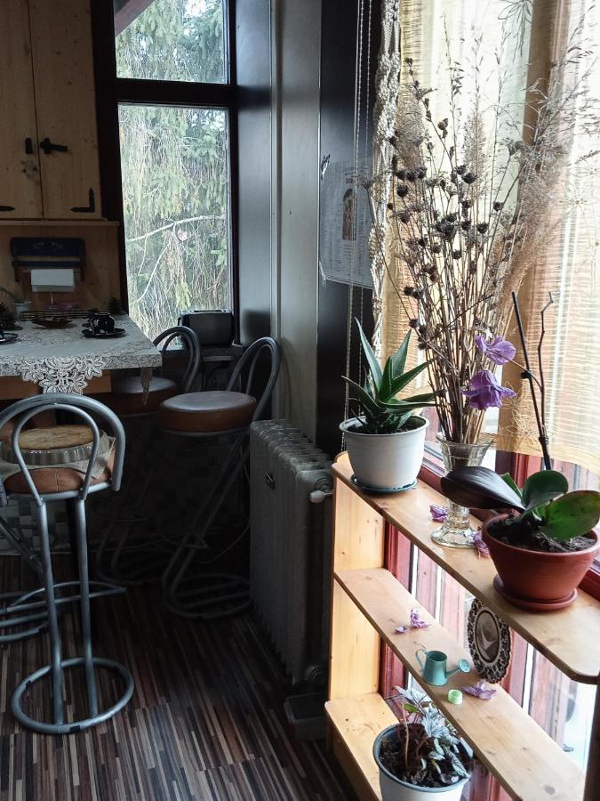 Residence Goelsch 161 Sanpetru Bagian luar foto